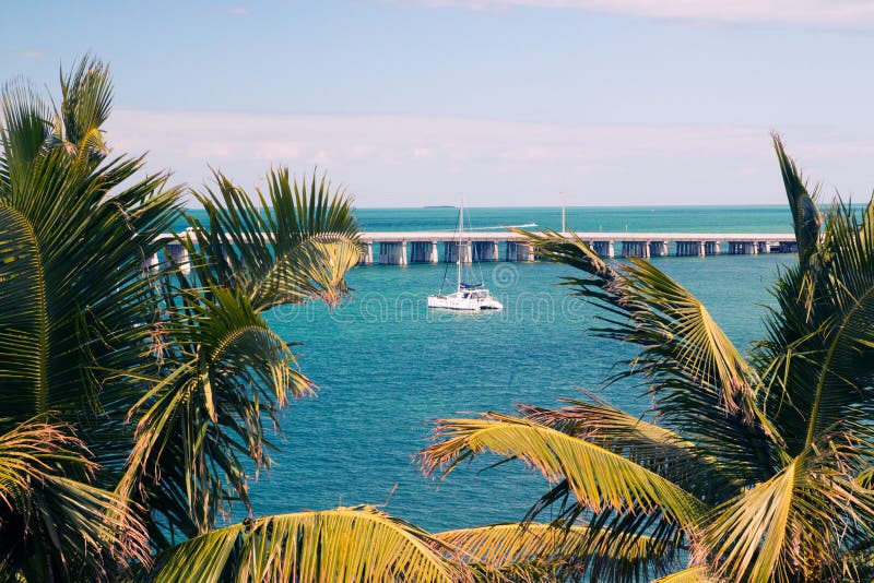 Palm and water